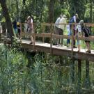 images/bg_aktivitaeten/Naturzentrum-thurauen.jpg