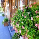 images/bg_gaestehaus/Gstehaus_aussen_2.jpg